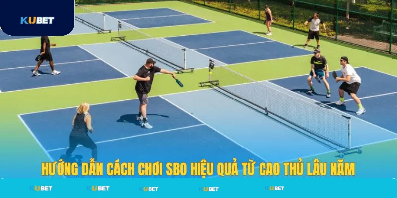 Cách cược SBO thể thao hiệu quả từ chuyên gia Cách cược SBO thể thao hiệu quả từ chuyên gia