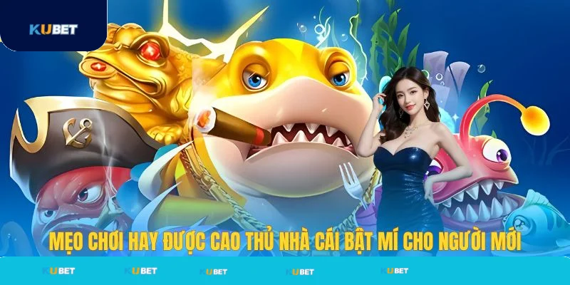 Mẹo chơi bắn cá cùng cao thủ Kubet