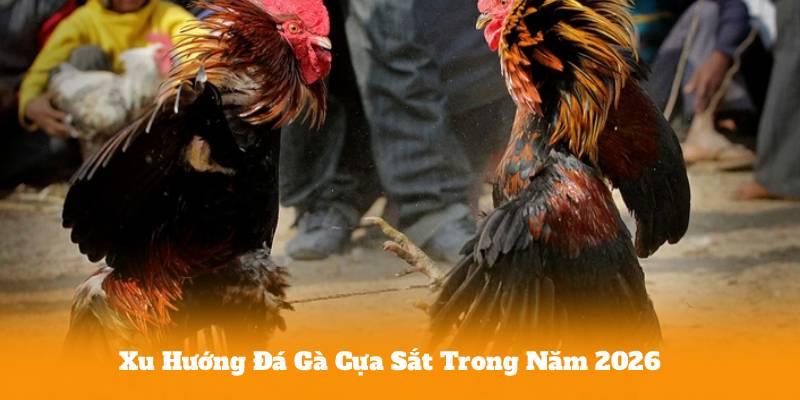 Xu Hướng Đá Gà Cựa Sắt Trong Năm 2026
